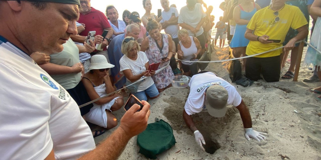 Aydın'da yumurtadan çıkan son yavru caretta da özgürlüğe kulaç attı