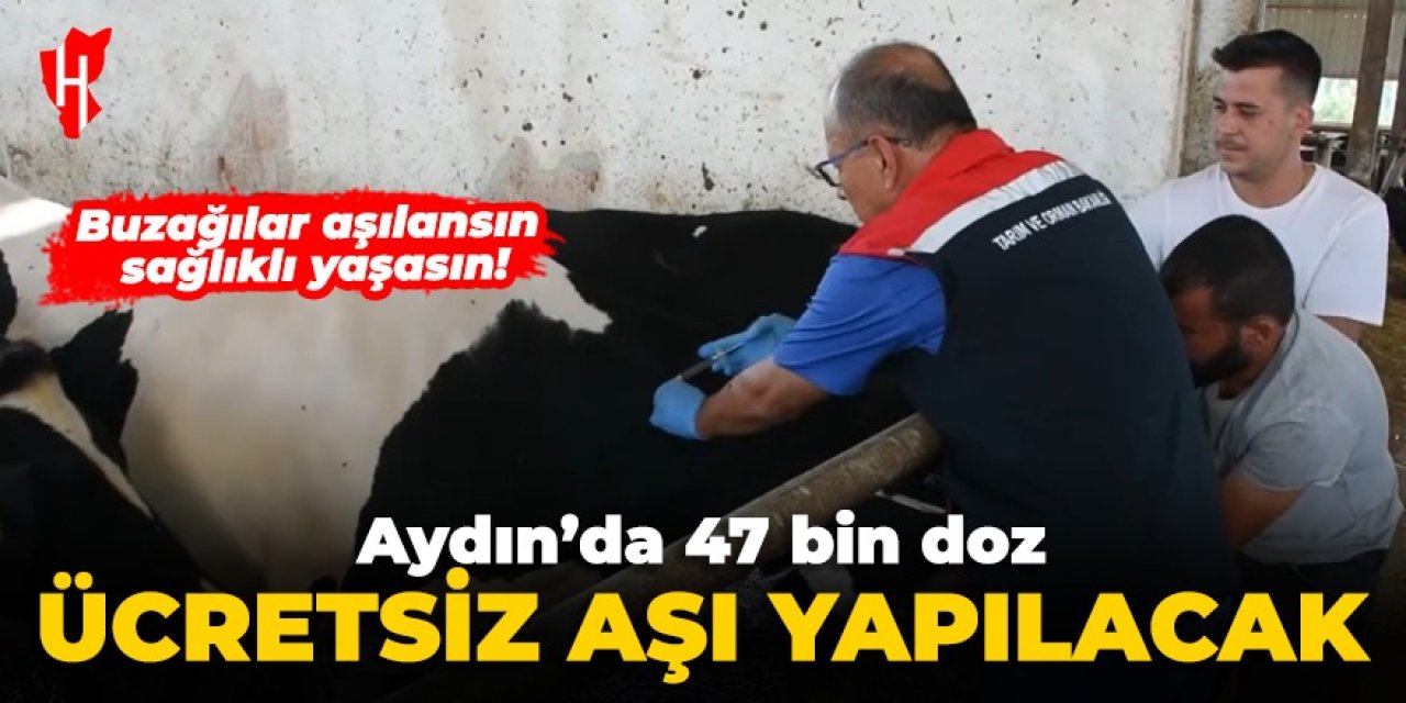 Aydın'da 47 bin doz ücretsiz aşı yapılacak!