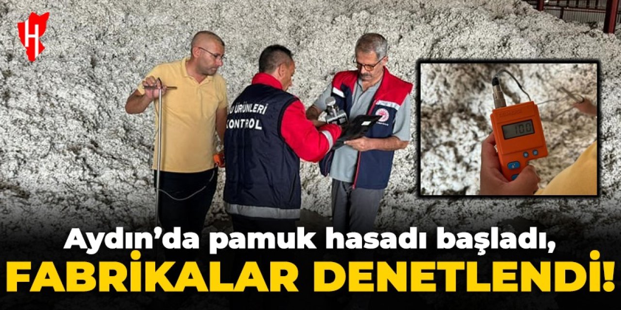 Aydın'da pamuk hasadı başladı, fabrikalar denetlendi!