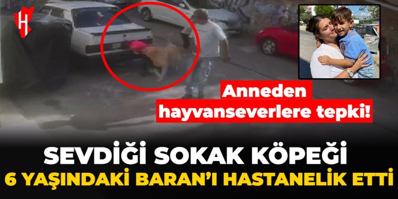 Sevdiği sokak köpeği 6 yaşındaki Baran’ı hastanelik etti! Anneden hayvanseverlere tepki