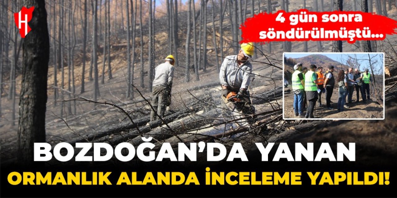 Bozdoğan'da yanan ormanlık alanda inceleme yapıldı