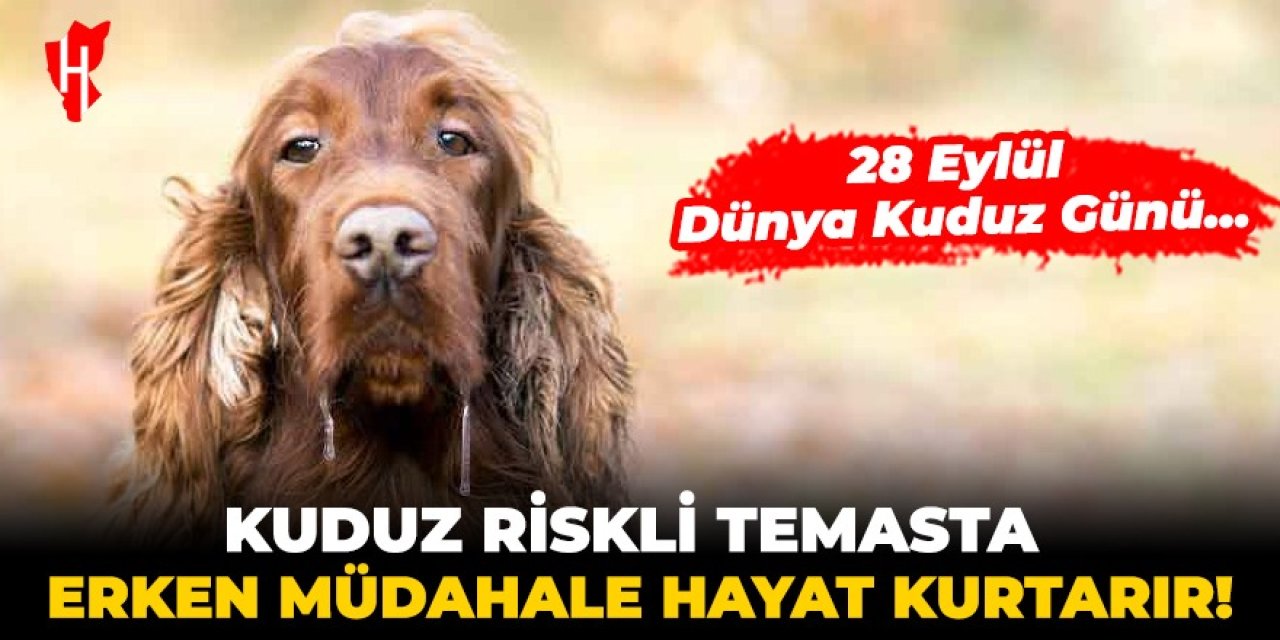 Kuduz riskli temasta erken müdahale hayat kurtarır!