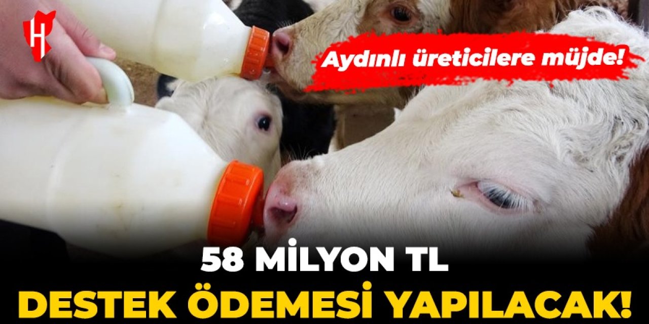 Aydınlı üreticilere müjde: 58 milyon TL ödeme yapılacak!