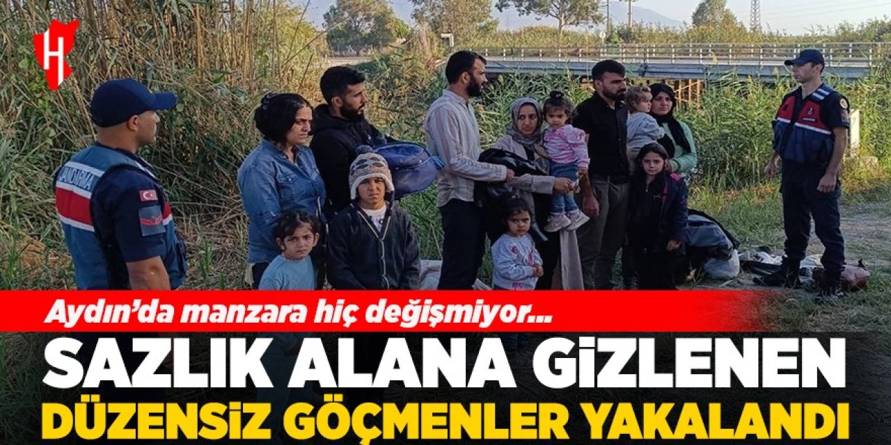 Sazlık alana gizlendiler ama yakalandılar