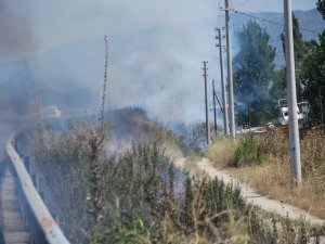 En Fazla Yangın Yol Kenarında Ve Sigaradan Çıkıyor