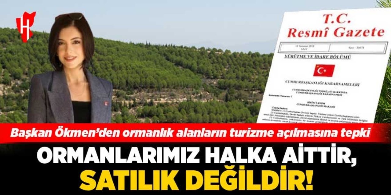 Başkan Ökmen’den ormanlık alanların turizme açılmasına tepki: “Ormanlarımız halka aittir, satılık değildir!”