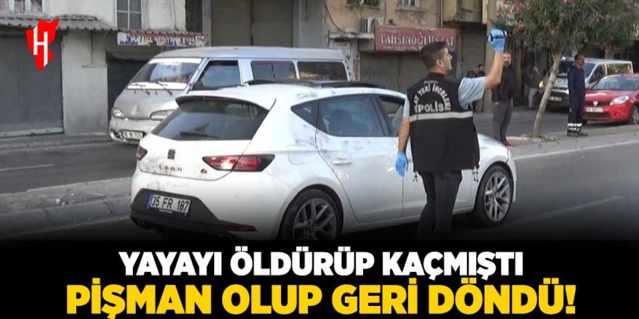 Yayayı öldürüp kaçmıştı pişman olup geri döndü!