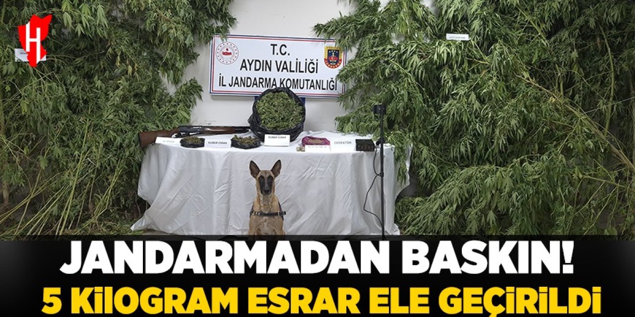 Uyuşturucu operasyonunda 5 kilogram esrar ele geçirildi!