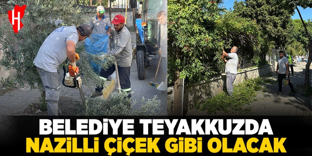 Belediye teyakkuzda! Nazilli çiçek gibi olacak