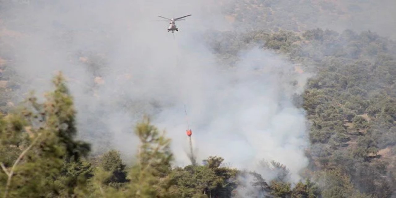 Aydın'da Zeytinlik Yangını: Söndürme Çalışmaları Devam Ediyor