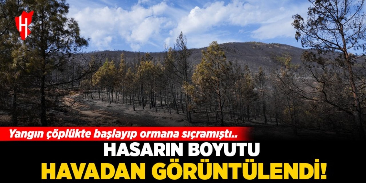 Yangın çöplükte başlayıp ormana sıçramıştı: Hasarın boyutu havadan görüntülendi!