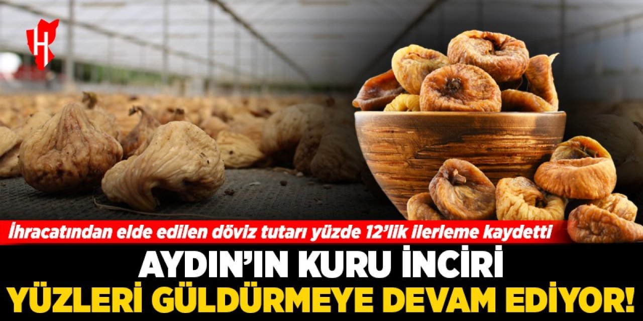 Aydın'ın kuru inciri yüzleri güldürmeye devam ediyor: İhracatından elde edilen döviz kuru %12'lik ilerleme kaydetti