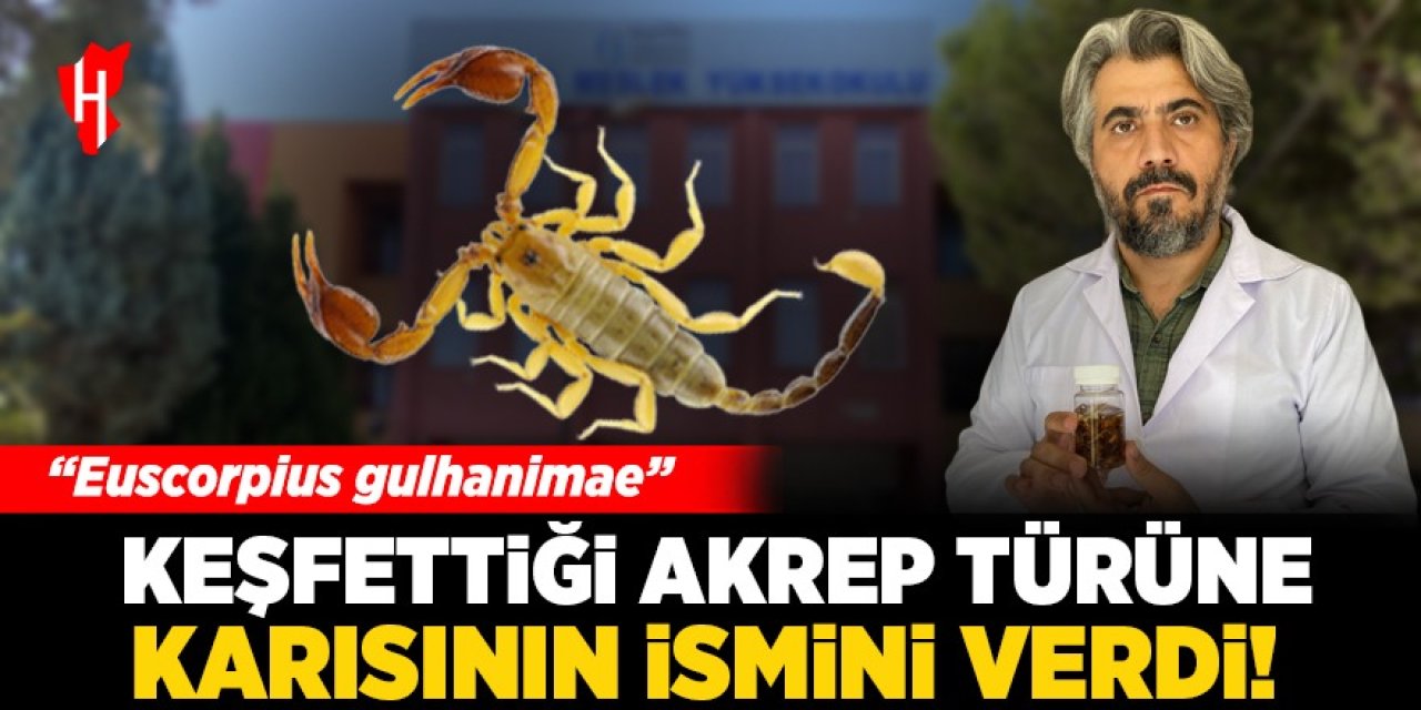 Keşfettiği akrep türüne eşinin ismini verdi