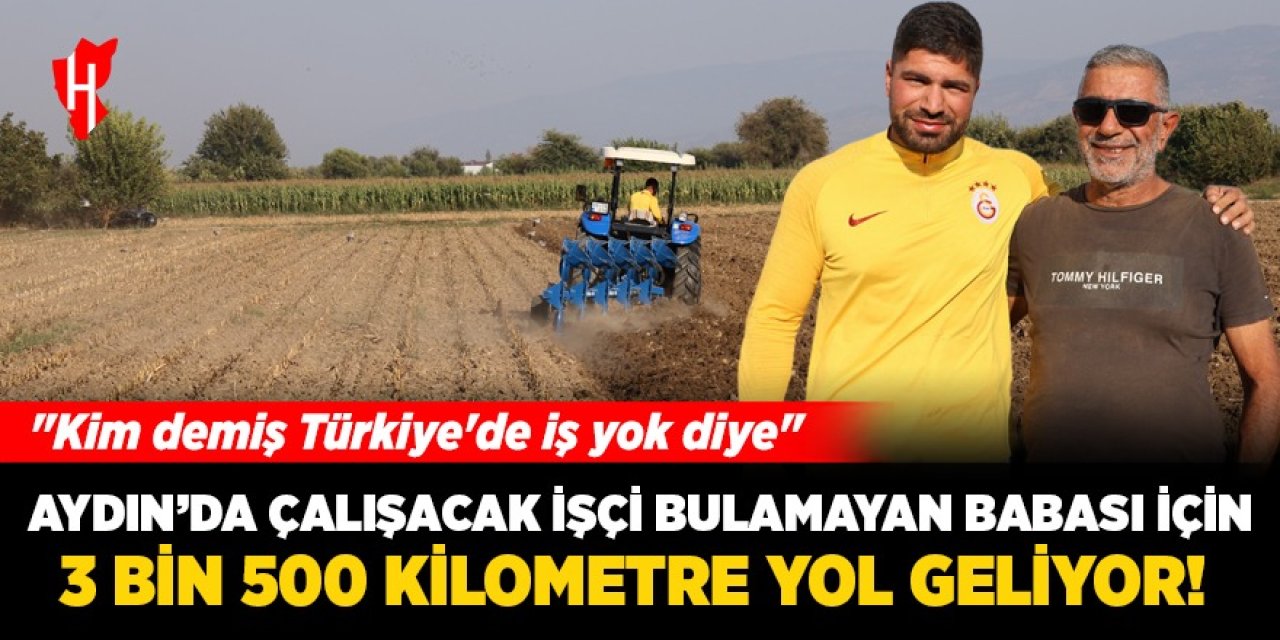 Aydın'da tarlada çalışacak işçi bulamayan babası için 3 bin 500 kilometre yol geliyor: "Kim demiş Türkiye'de iş yok diye"