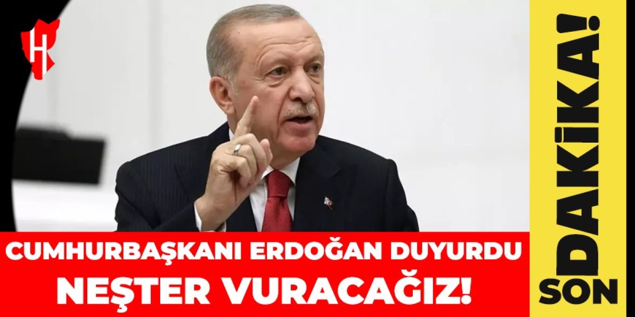 Yeni düzenleme yolda: Cumhurbaşkanı Erdoğan duyurdu "Neşter Vuracağız"