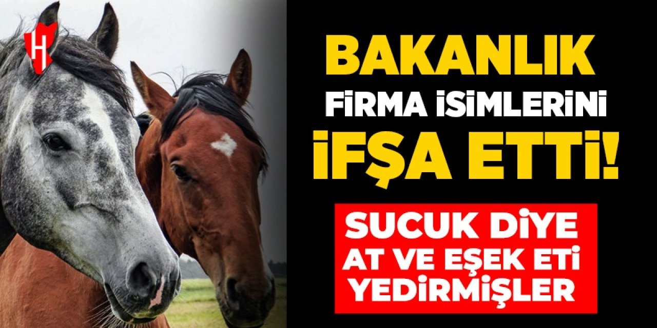 Bakanlık firma isimlerini ifşa etti: Sucuk diye at ve eşek eti yedirmişler