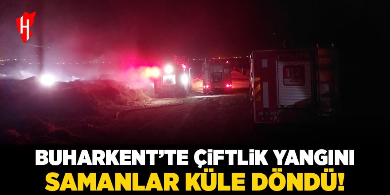 Buharkent'te çiftlik yangını: Samanlar küle döndü