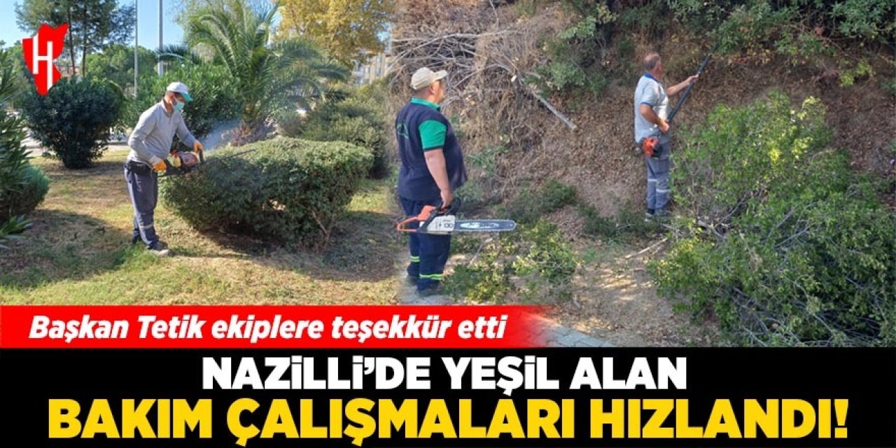 Nazilli kışa hazırlanıyor: Yeşil alan çalışmaları hızlandı