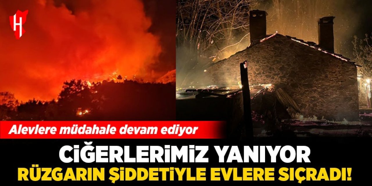 Ciğerlerimiz yanıyor! Rüzgarın şiddetiyle evlere sıçradı, müdahale devam ediyor