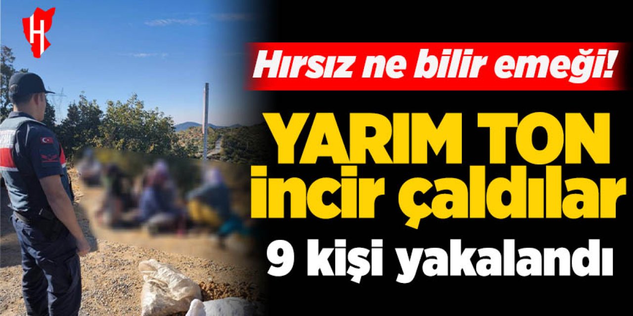 Üreticinin emeğini çalan incir hırsızları yakalandı