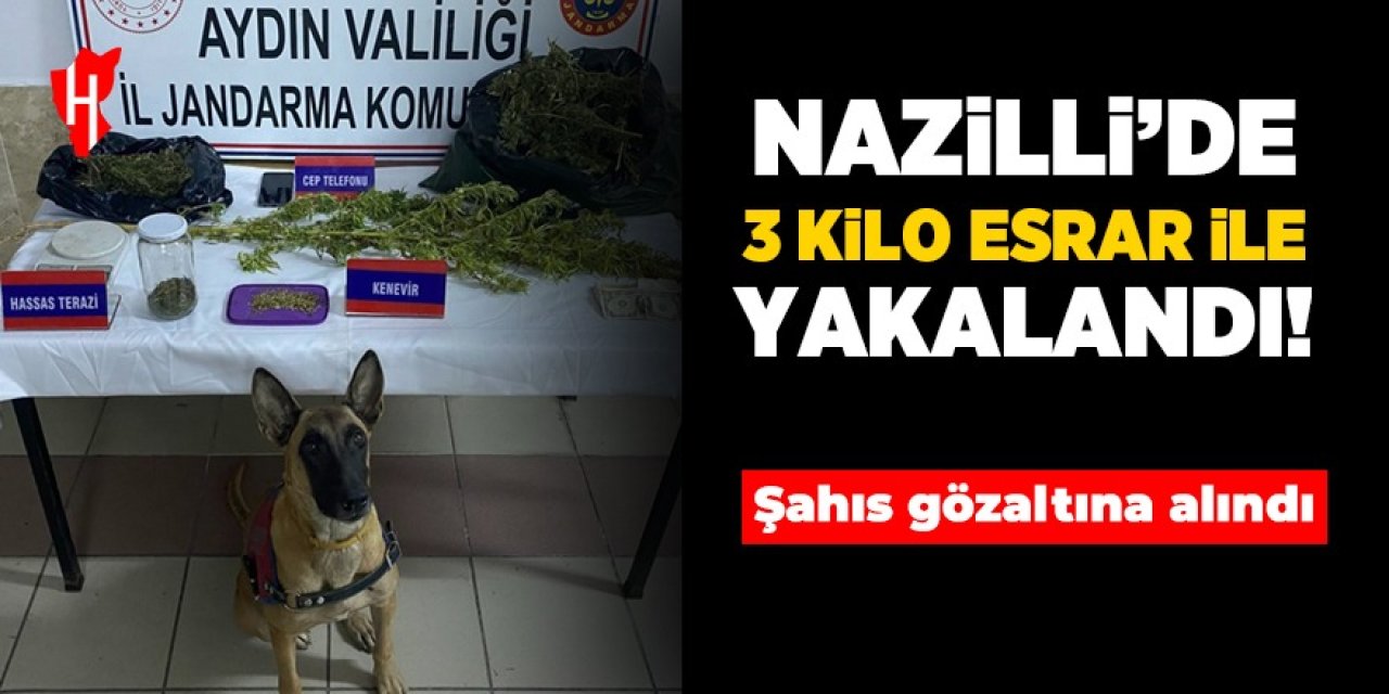 Nazilli'de 3 kilo esrar ile yakalanan şahıs gözaltına alındı