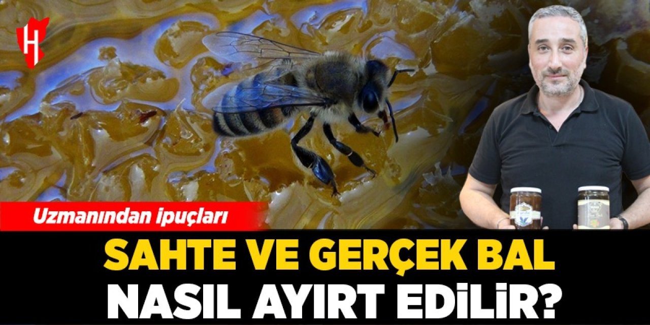 Sahte ve gerçek bal nasıl ayırt edilir? Uzmanından ipuçları