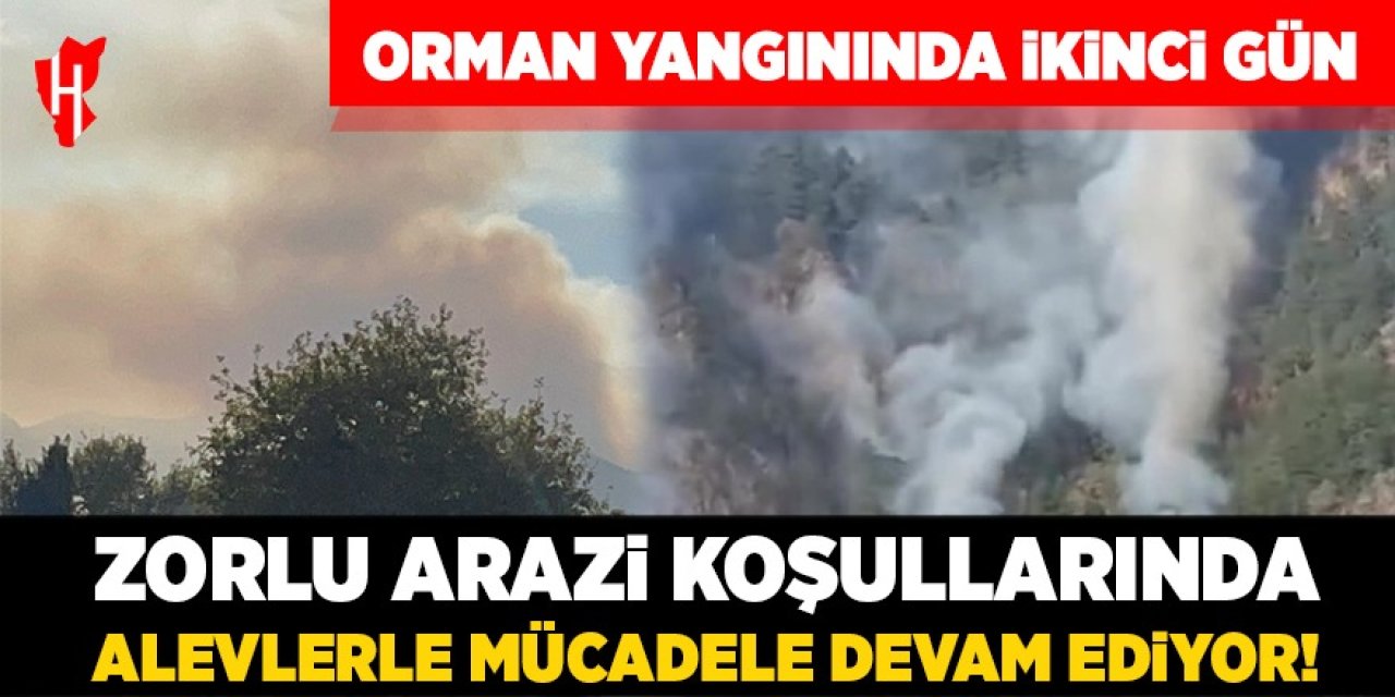 Sarp arazide devam eden orman yangınında alevlerle mücadele sürüyor!