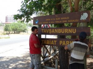 Tavşanburnu Tabiat Parkı Ziyaretçileri Bekliyor