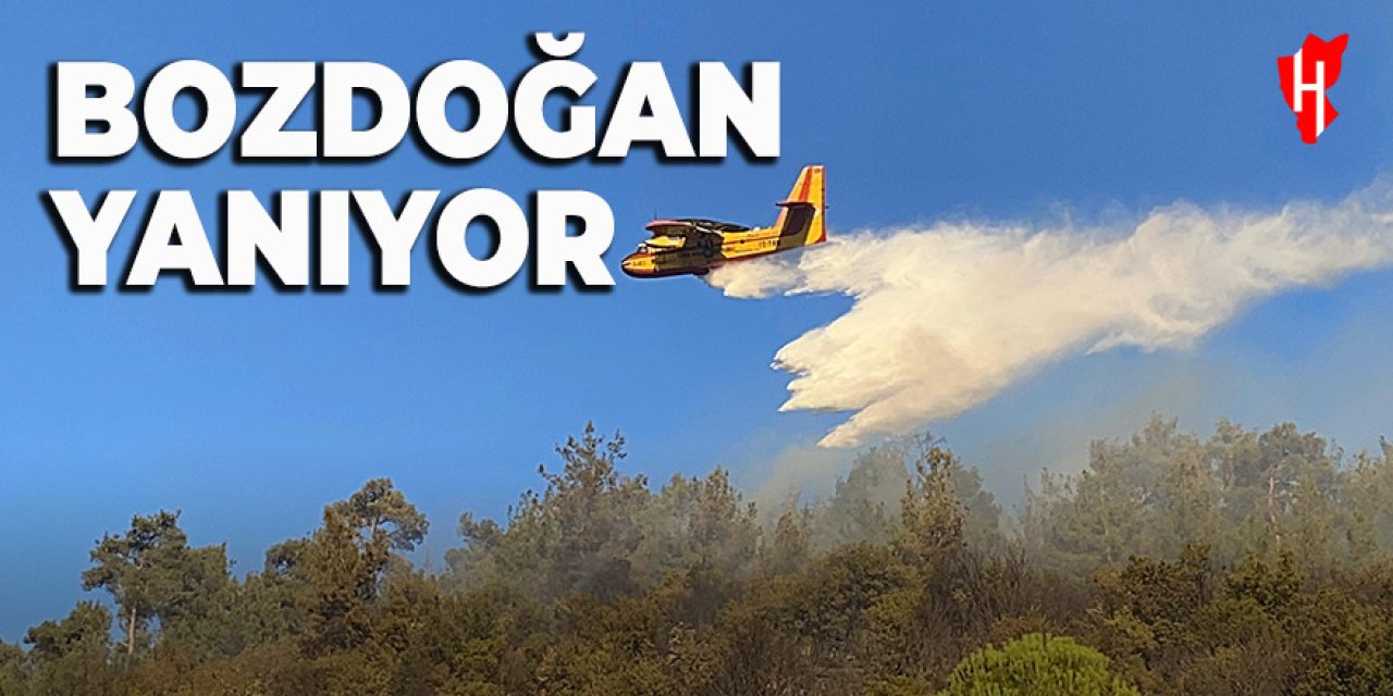 Bozdoğan'da orman yangını! Havadan ve karadan müdahale ediliyor