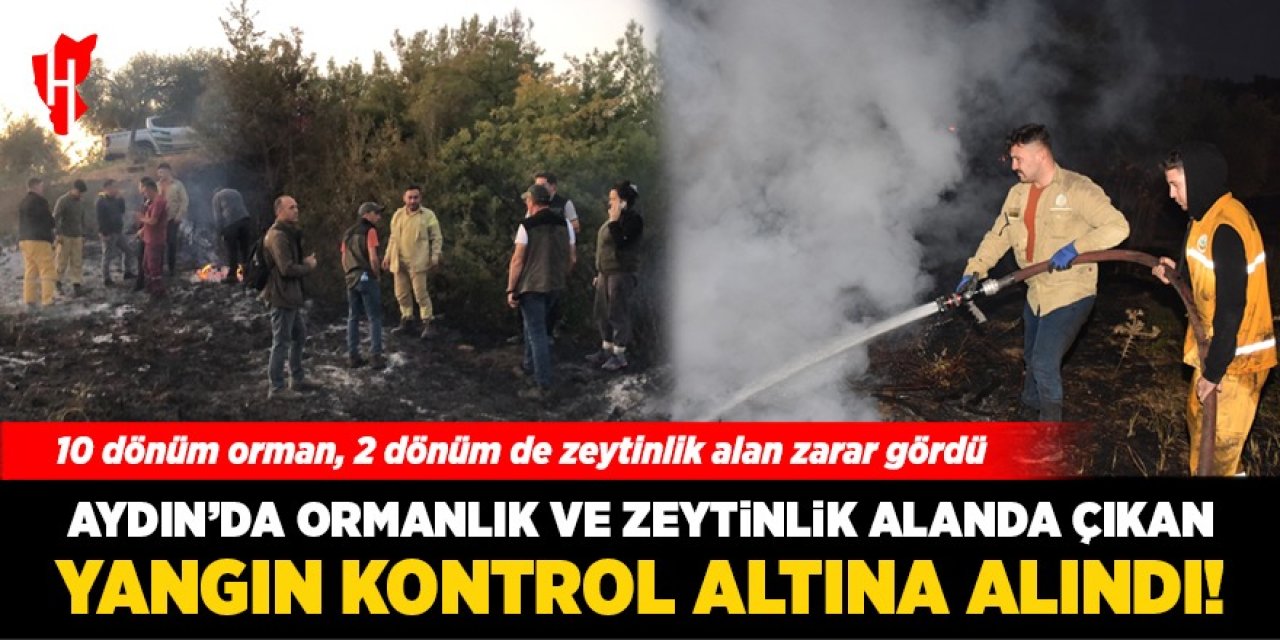 Aydın'da ormanlık ve zeytinlik alanda çıkan yangın kontrol altına alındı