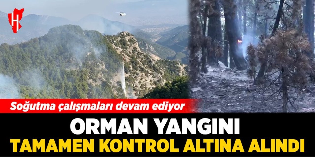 Orman yangını tamamen kontrol altına alındı: Soğutma çalışmaları devam ediyor