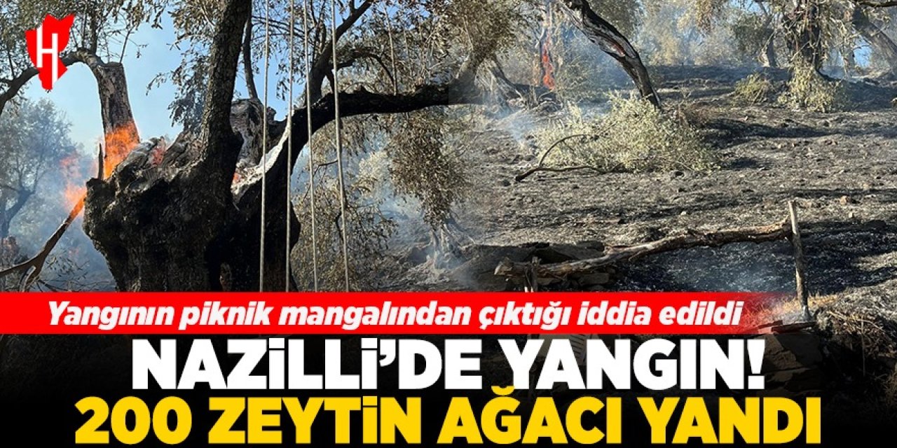 Nazilli’de çiftçinin emekleri kül oldu: 200 zeytin ağacı yandı