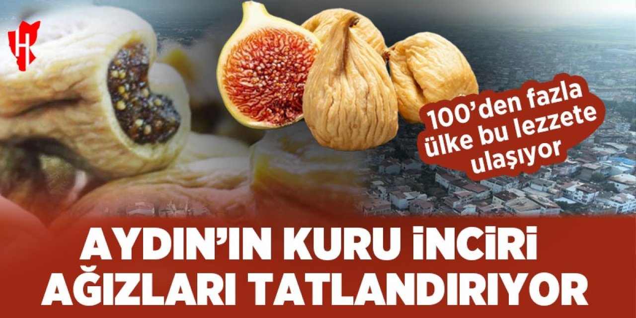 Aydın'ın kuru inciri yurtdışında da ağızları tatlandırıyor