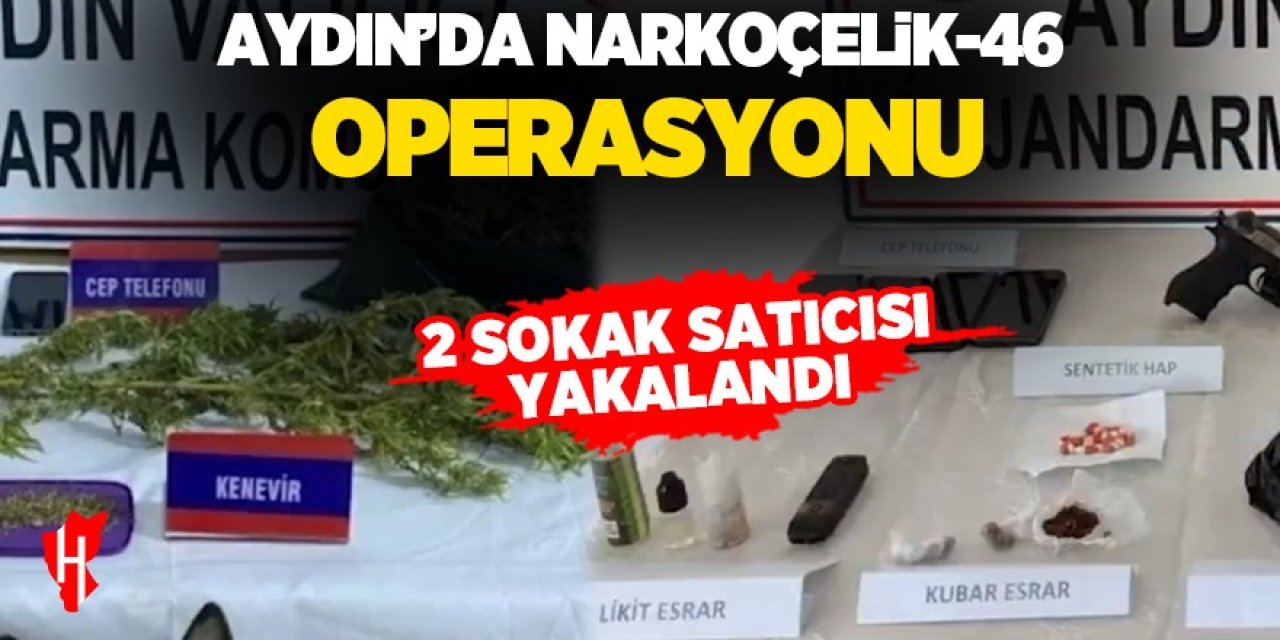 Aydın'da Narkoçelik-46 operasyonu: 2 sokak satıcısı yakalandı