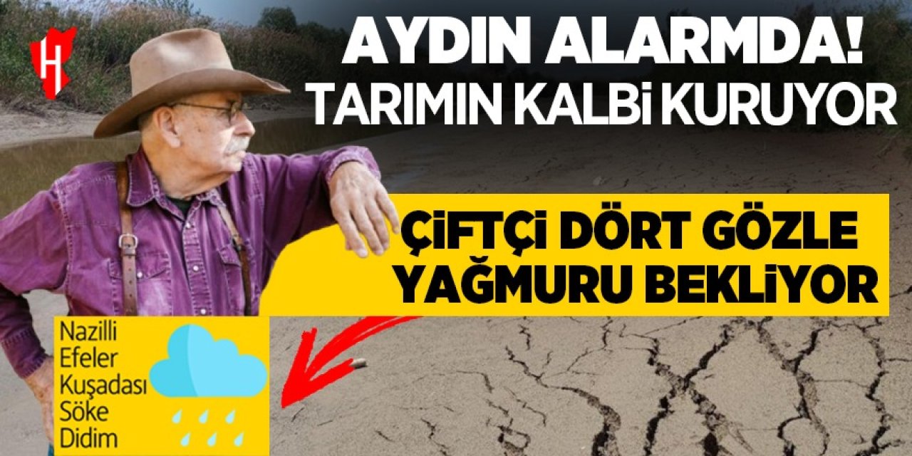 Tarımın başkenti Aydın'da çölleşme tehlikesi kapıda: Çiftçilerin gözü yağmurda