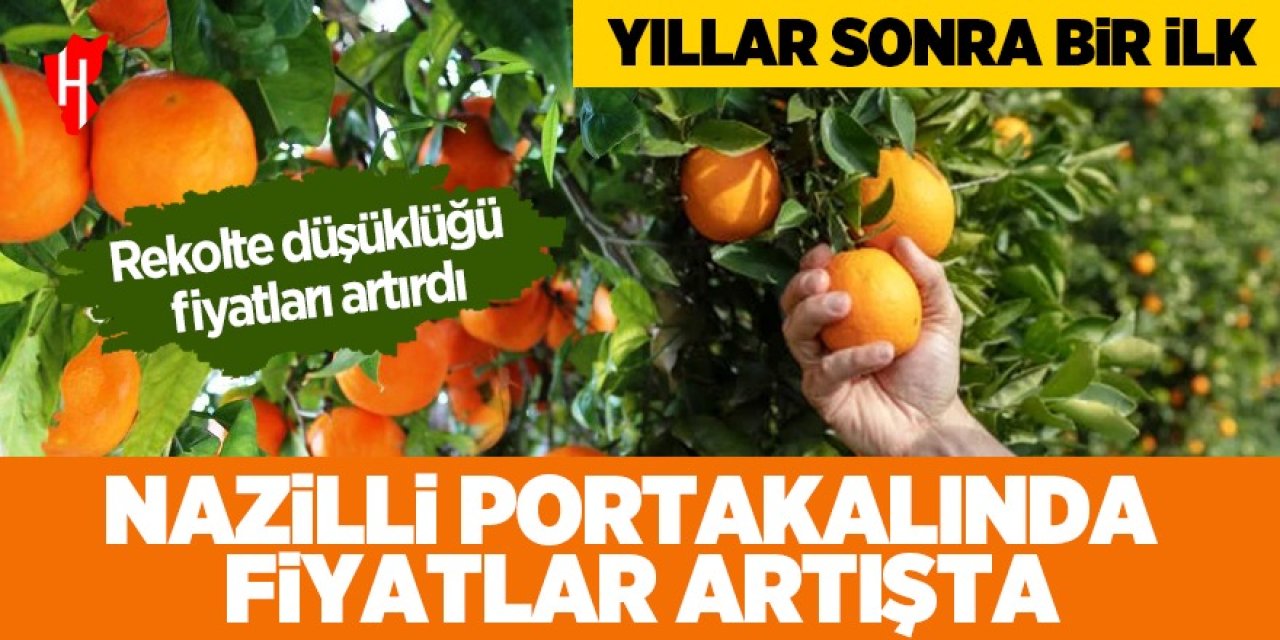 Nazilli’de portakal fiyatı yıllar sonra artışta!