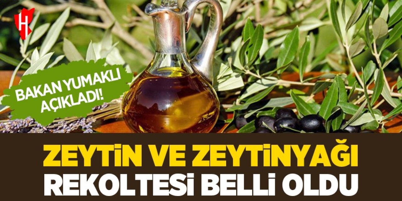 Bakan Yumaklı açıkladı: Zeytin ve zeytinyağı rekoltesi belli oldu!