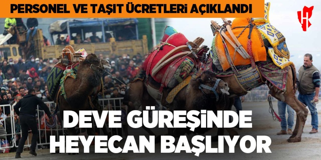 Deve Güreşinde heyecan başlıyor!