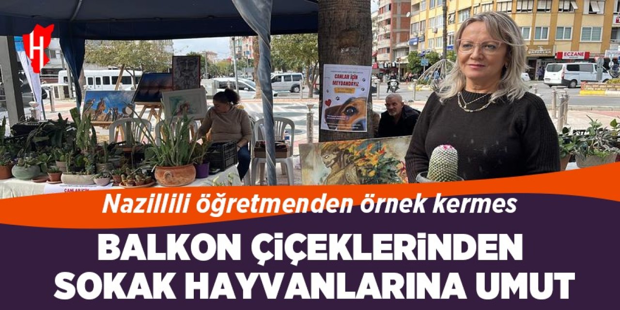 Balkon çiçeklerinden sokak hayvanlarına umut: Nazillili öğretmenden örnek kermes