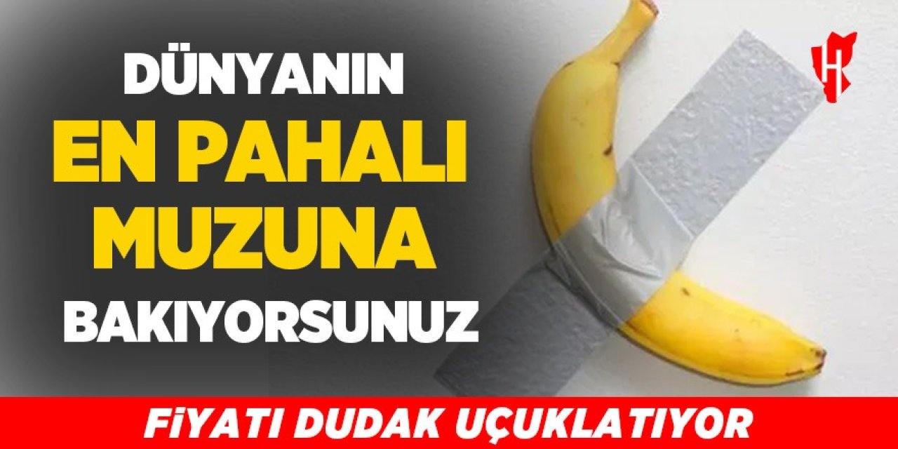 Duyan inanamadı: Dünyanın en pahalı muzu!