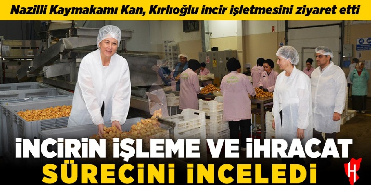 Nazilli Kaymakamı Kan, incirin işleme ve ihracat sürecini inceledi