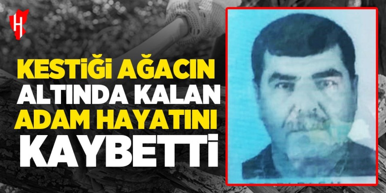 Kestiği ağacın altında kalan şahıs hayatını kaybetti