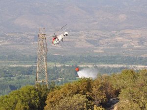 Bozdoğan'da 8 hektar zeytinlik ve ormanlık alanı yandı