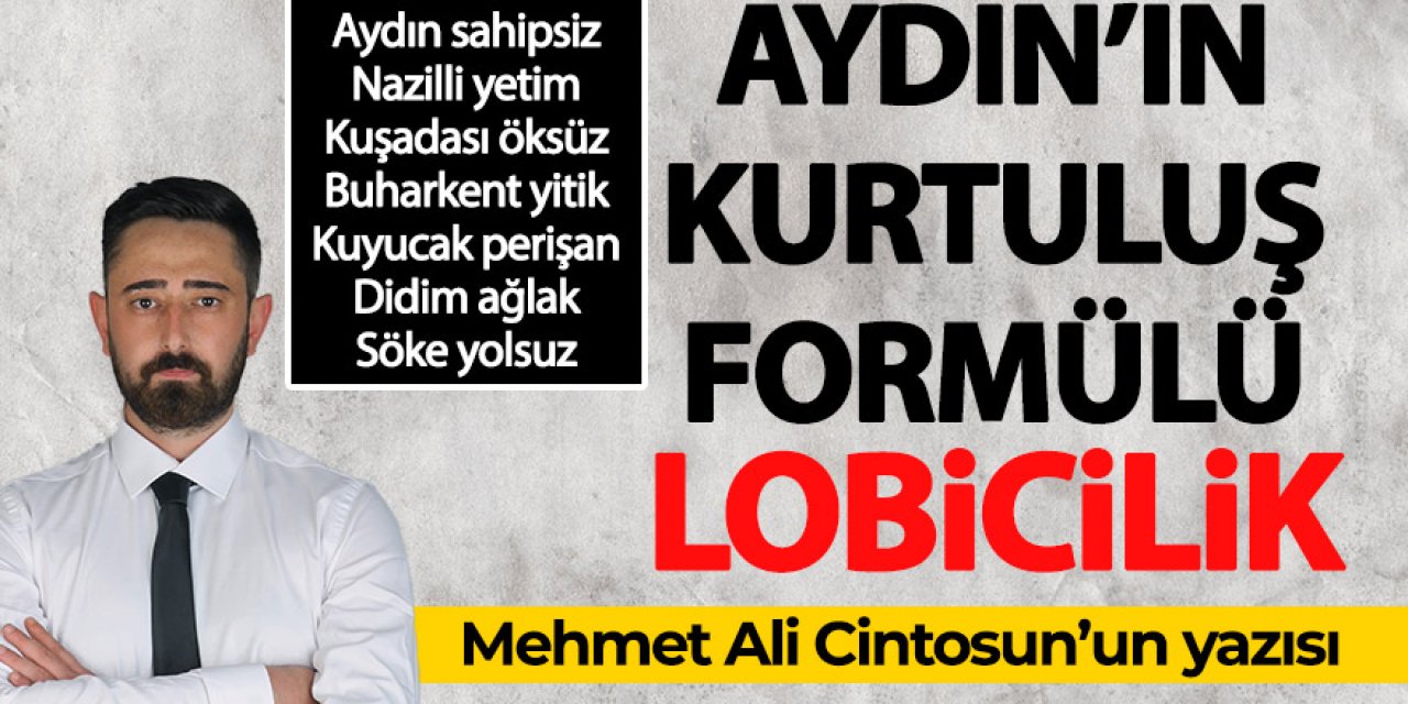 Aydın'ın kurtuluş formülü "Lobicilik"