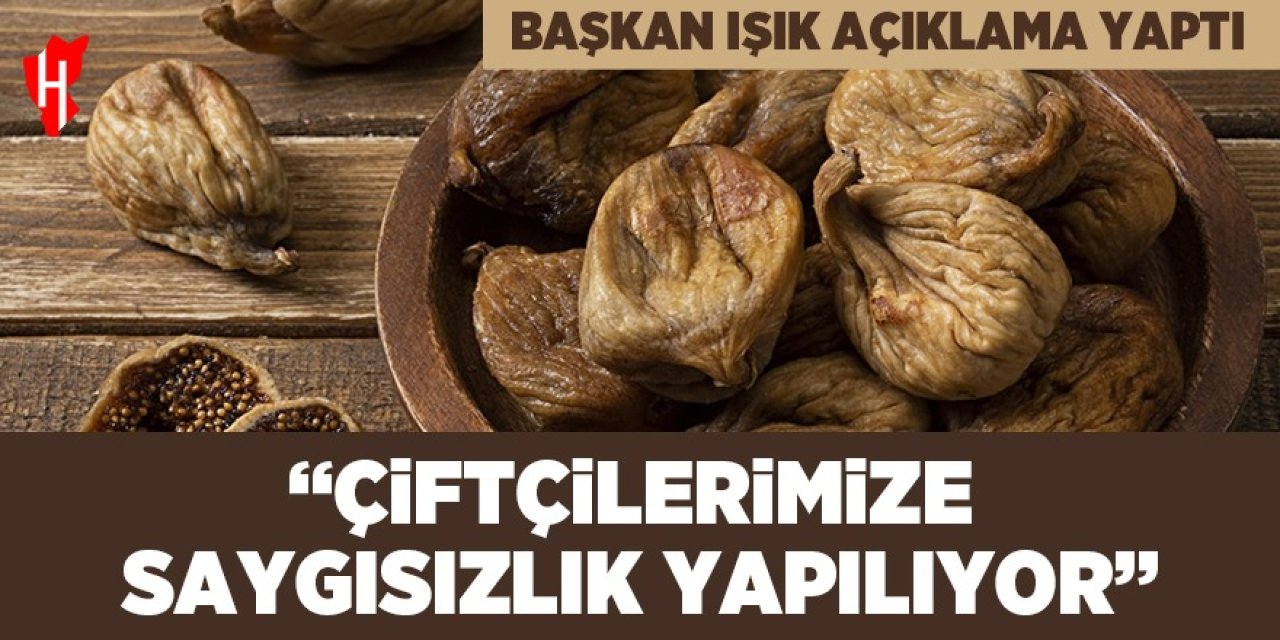 Kuru incir ihracatçıları aflatoksin mücadelesinde kararlı