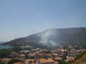 Maydanoz Koy’da çıkan yangın tatilcileri korkuttu