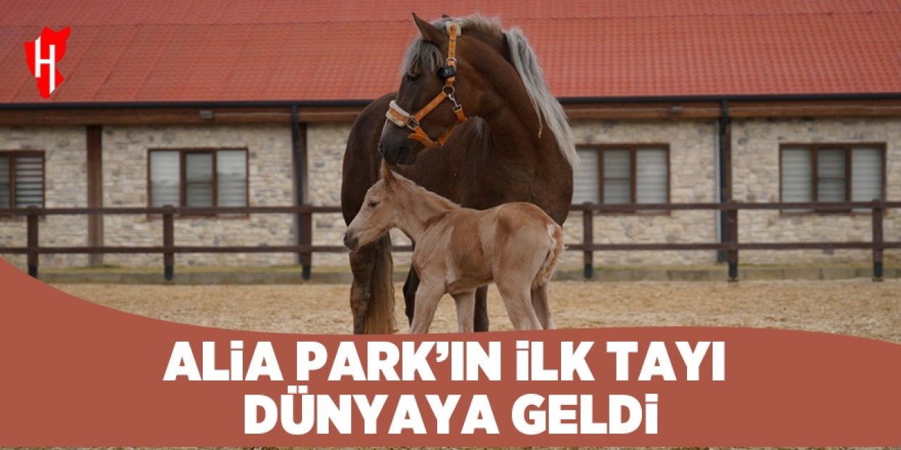 Alia Park'ta tay sevinci