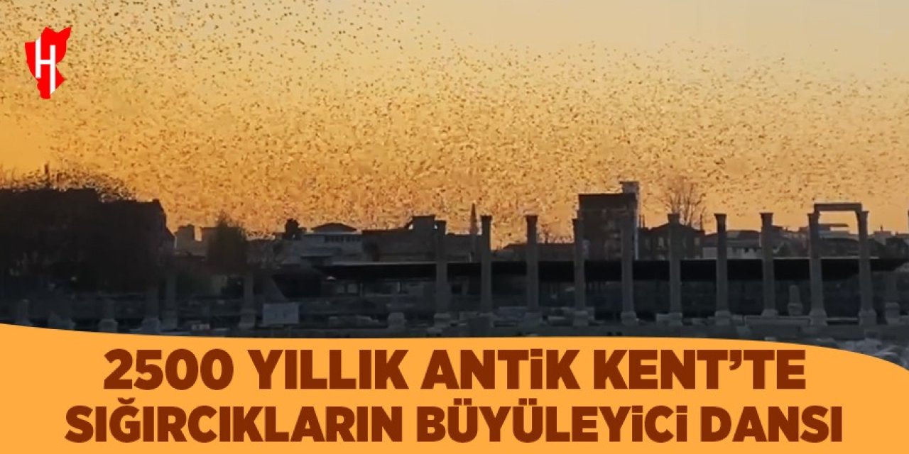 2500 yıllık Antik Kent'te sığırcıkların büyüleyici dansı