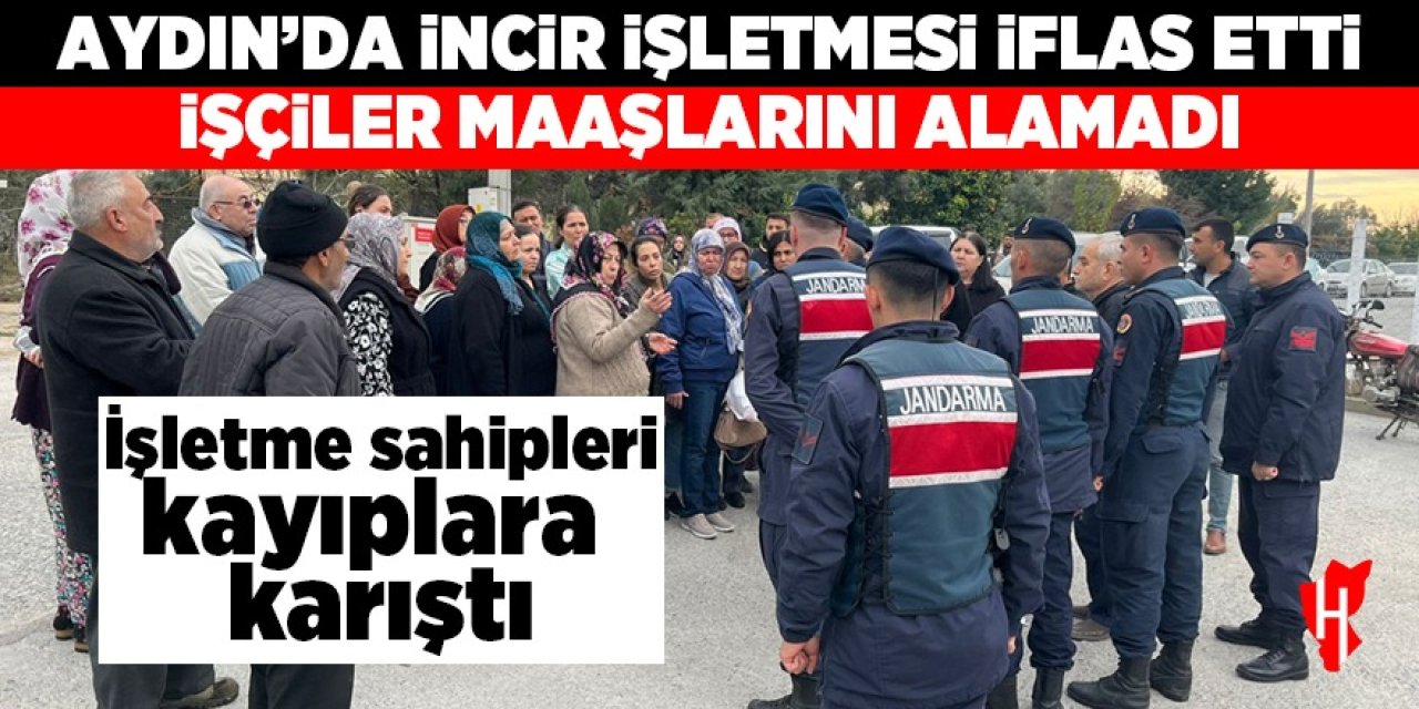 Aydın'da iflas eden incir işletmesinin sahipleri kayıplara karıştı: İşçiler maaşlarını alamadı