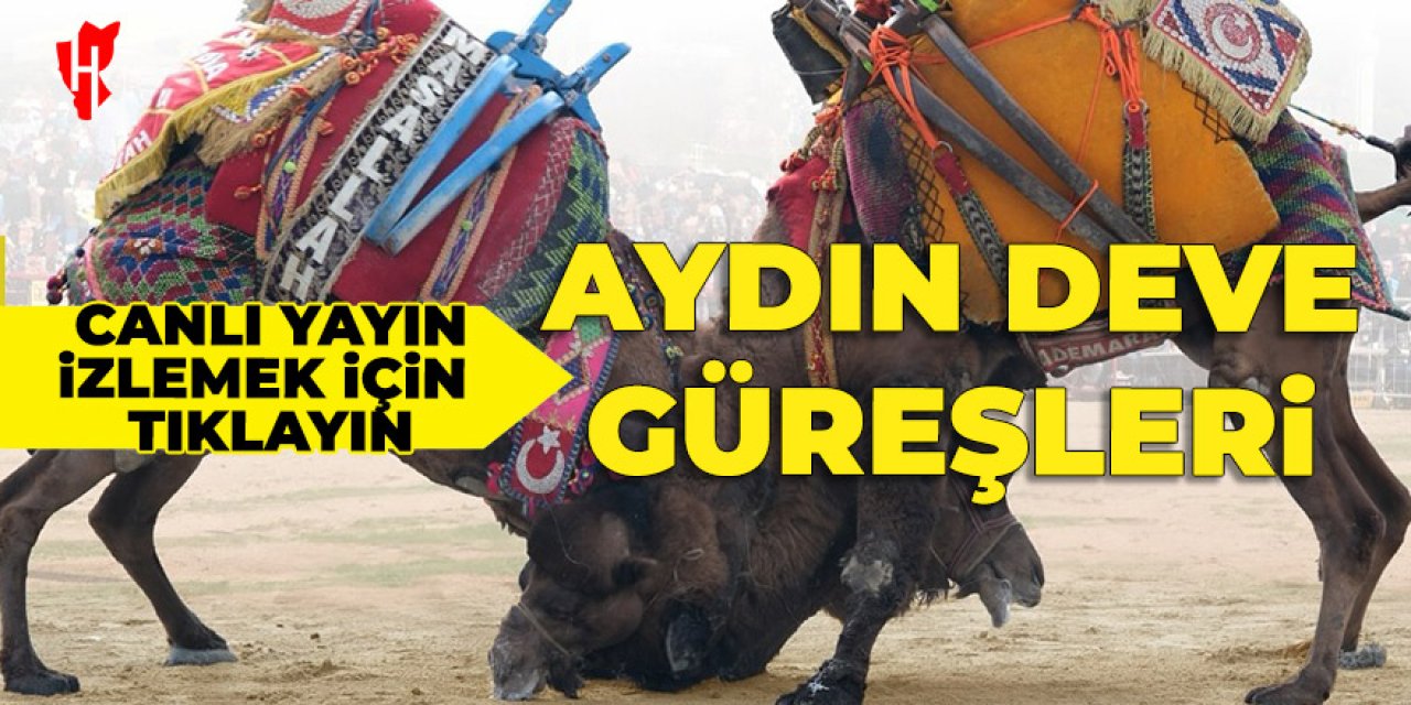 AYDIN DEVE GÜREŞİ - CANLI YAYIN